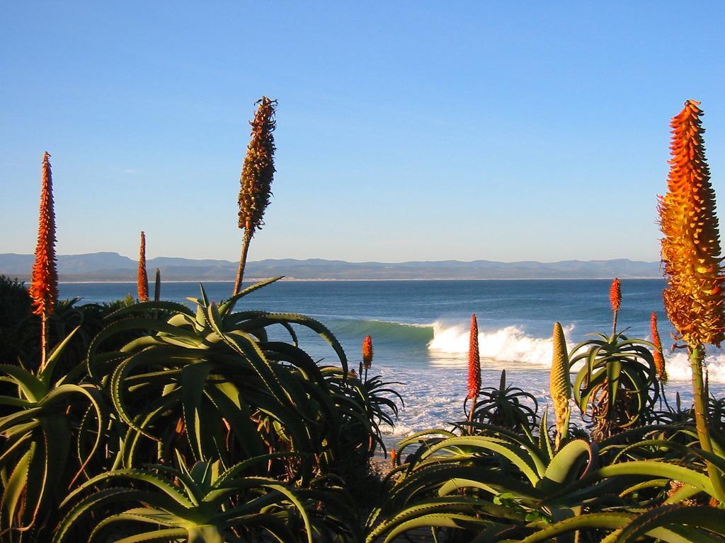 Beach House Hotel Jeffreys Bay Exterior foto